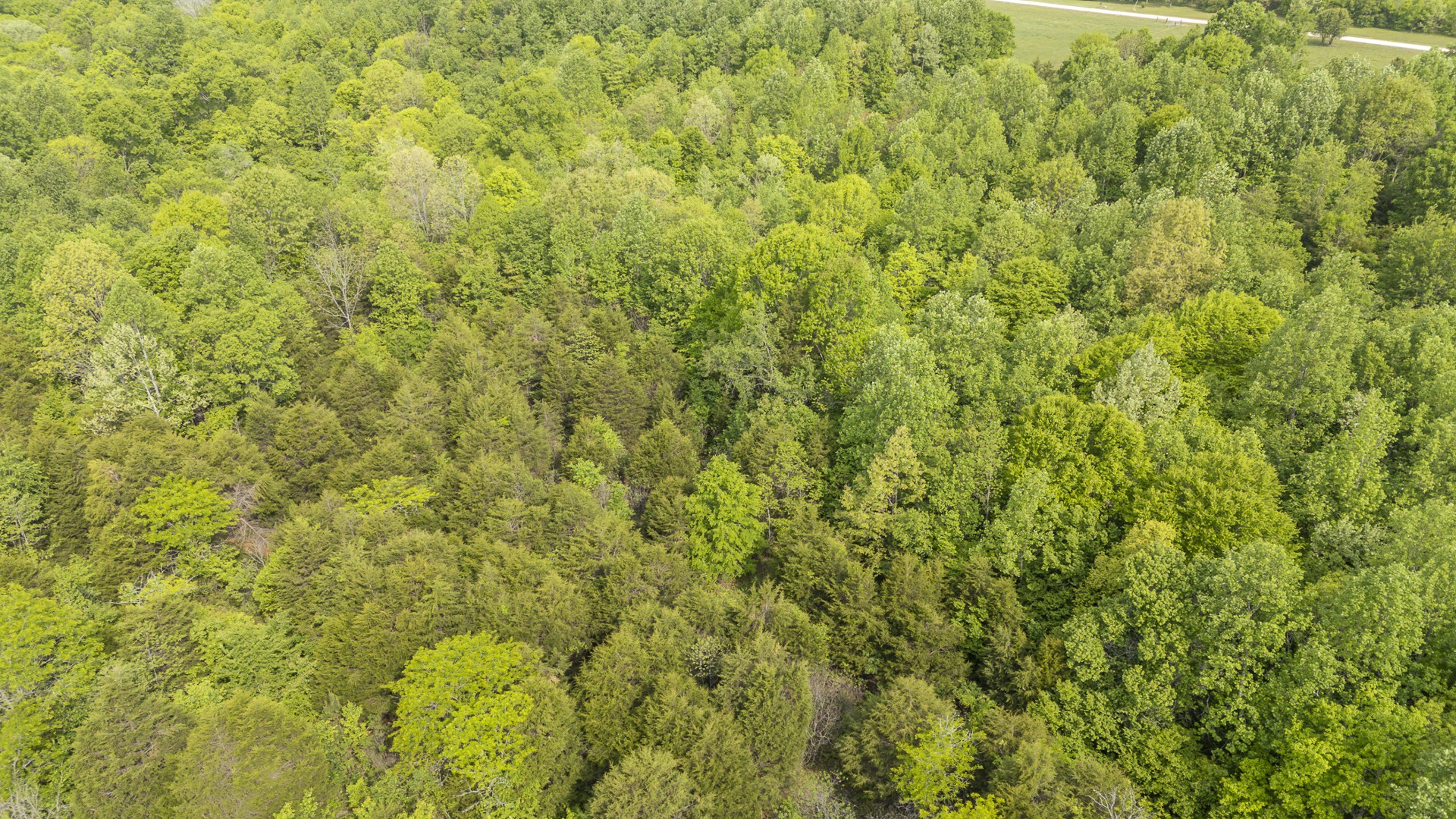 175 Chickasaw Cove Road Waynesboro, TN 38485 - Photo 12 of 37