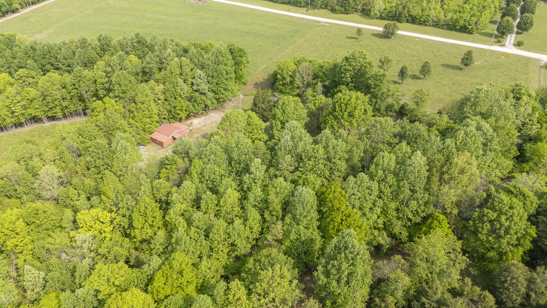 175 Chickasaw Cove Road Waynesboro, TN 38485 - Photo 13 of 37
