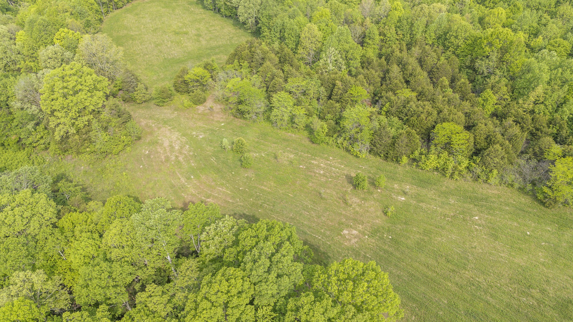 175 Chickasaw Cove Road Waynesboro, TN 38485 - Photo 14 of 37