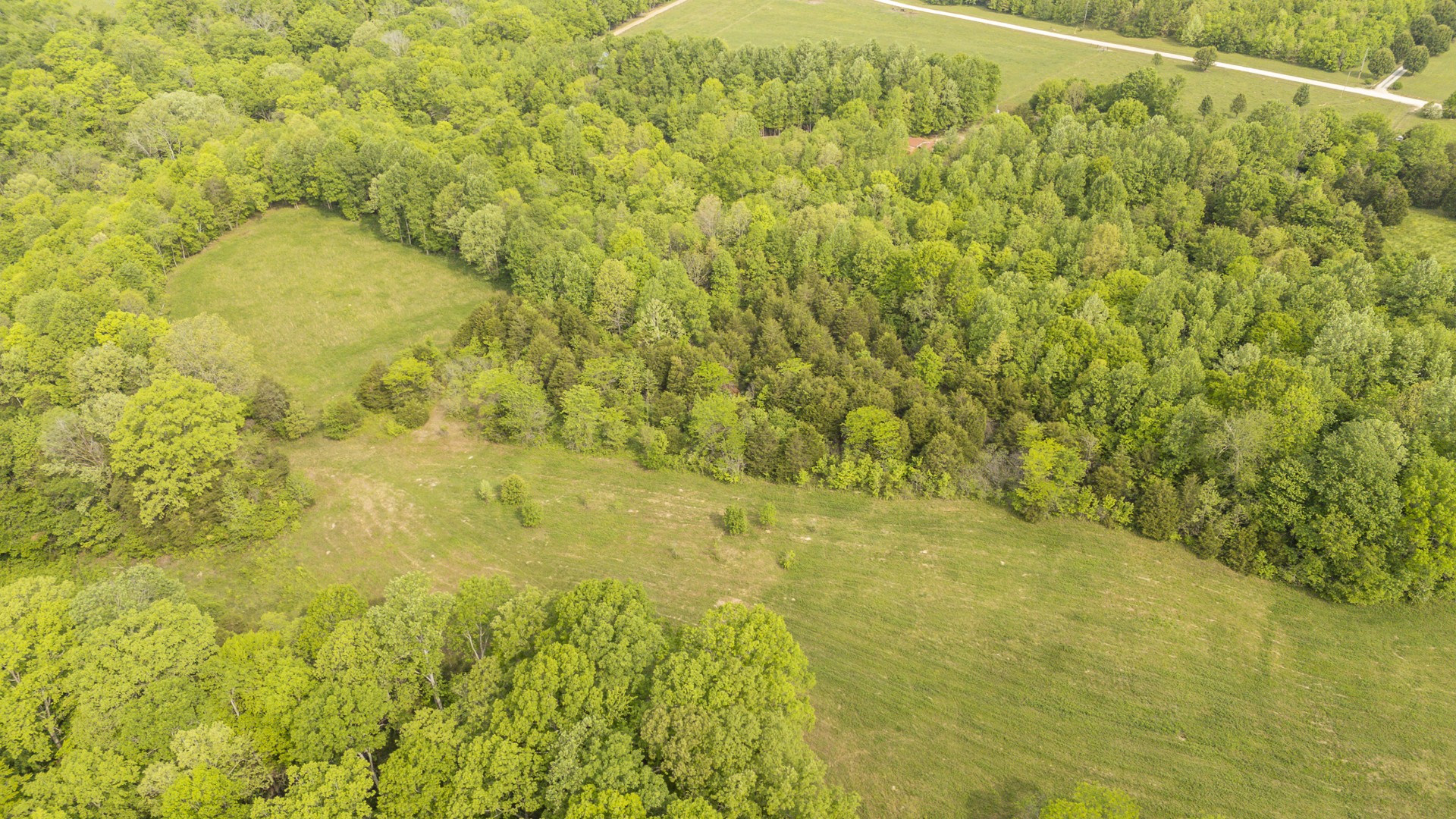 175 Chickasaw Cove Road Waynesboro, TN 38485 - Photo 15 of 37