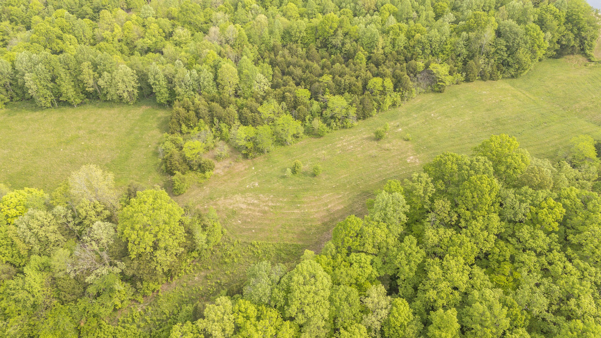 175 Chickasaw Cove Road Waynesboro, TN 38485 - Photo 18 of 37