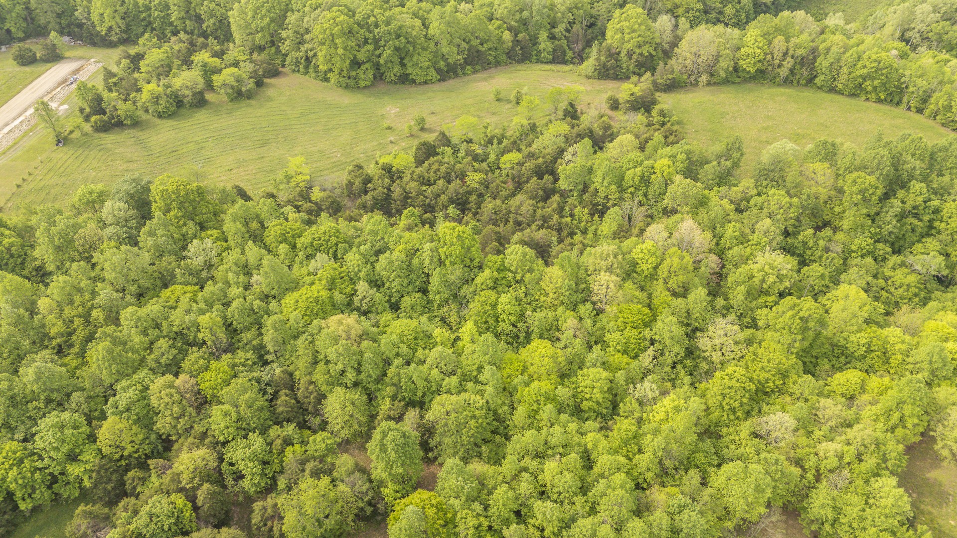 175 Chickasaw Cove Road Waynesboro, TN 38485 - Photo 19 of 37