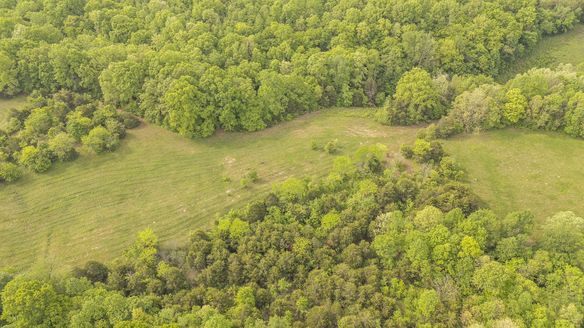 175 Chickasaw Cove Road Waynesboro, TN 38485 - Photo 20 of 37