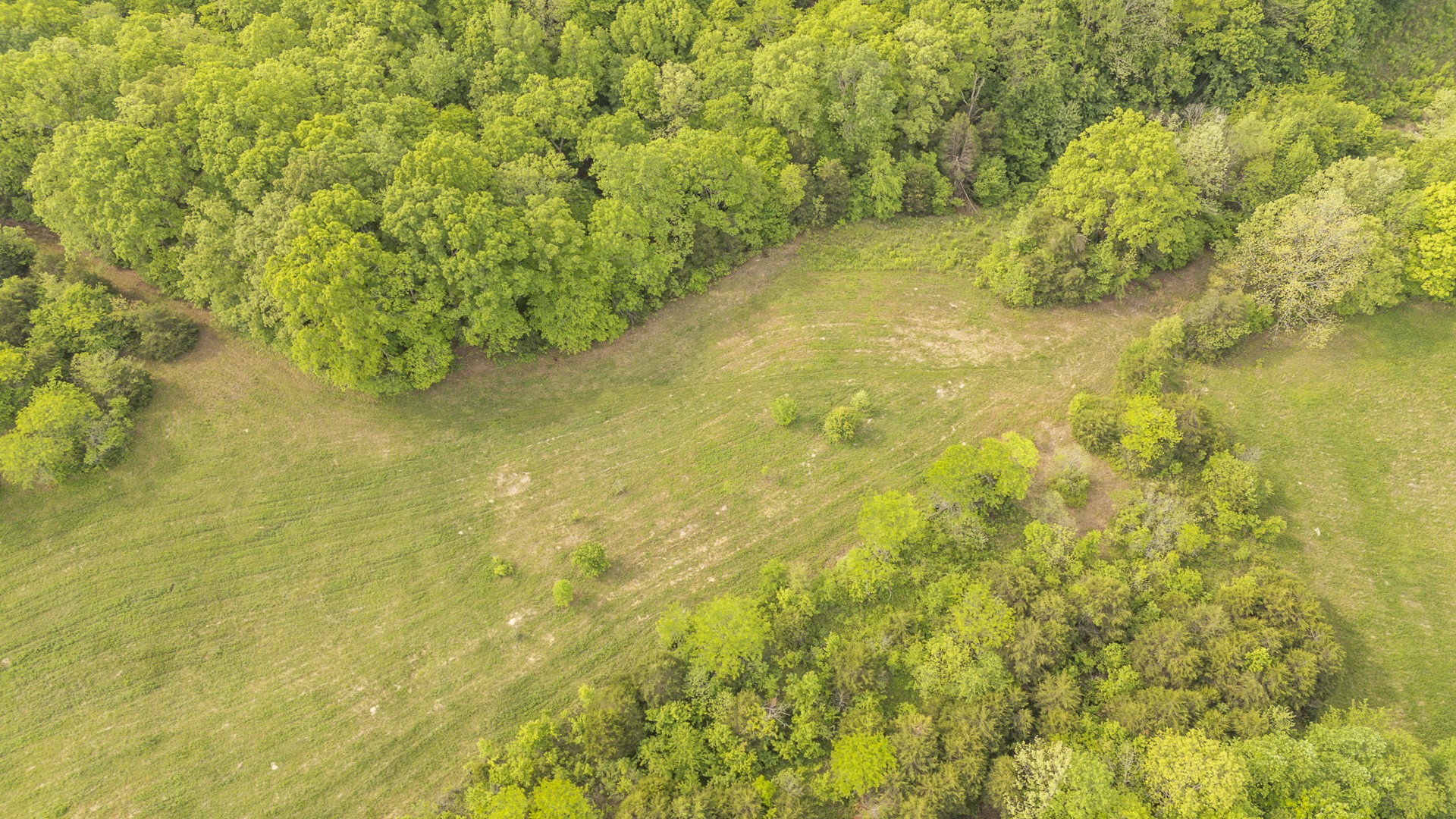 175 Chickasaw Cove Road Waynesboro, TN 38485 - Photo 21 of 37