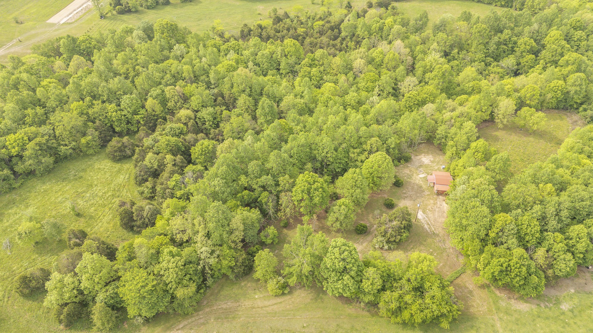 175 Chickasaw Cove Road Waynesboro, TN 38485 - Photo 22 of 37