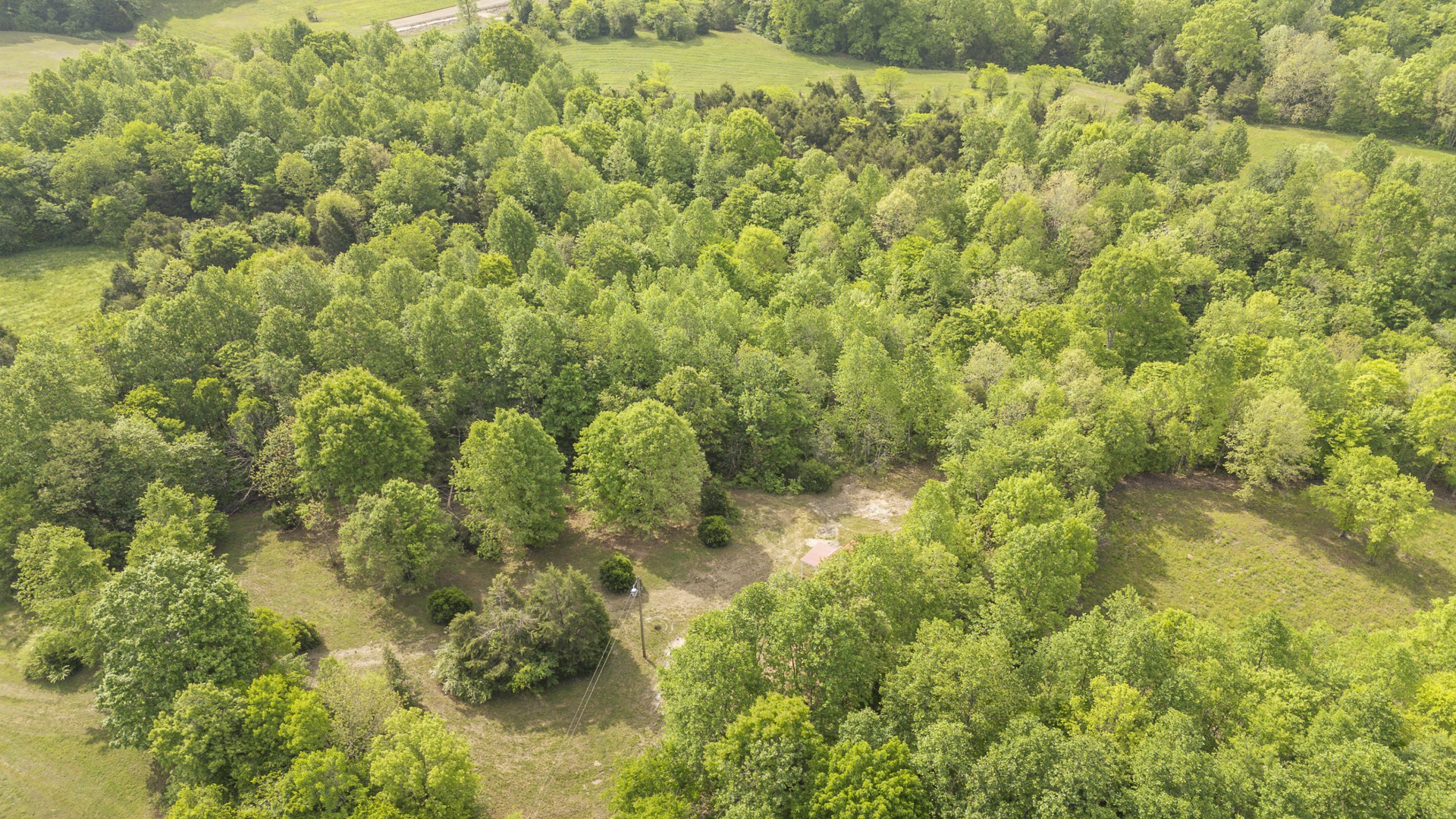 175 Chickasaw Cove Road Waynesboro, TN 38485 - Photo 34 of 37