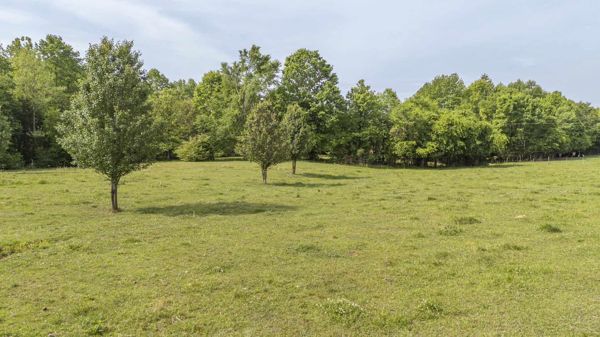 175 Chickasaw Cove Road Waynesboro, TN 38485 - Photo 36 of 37