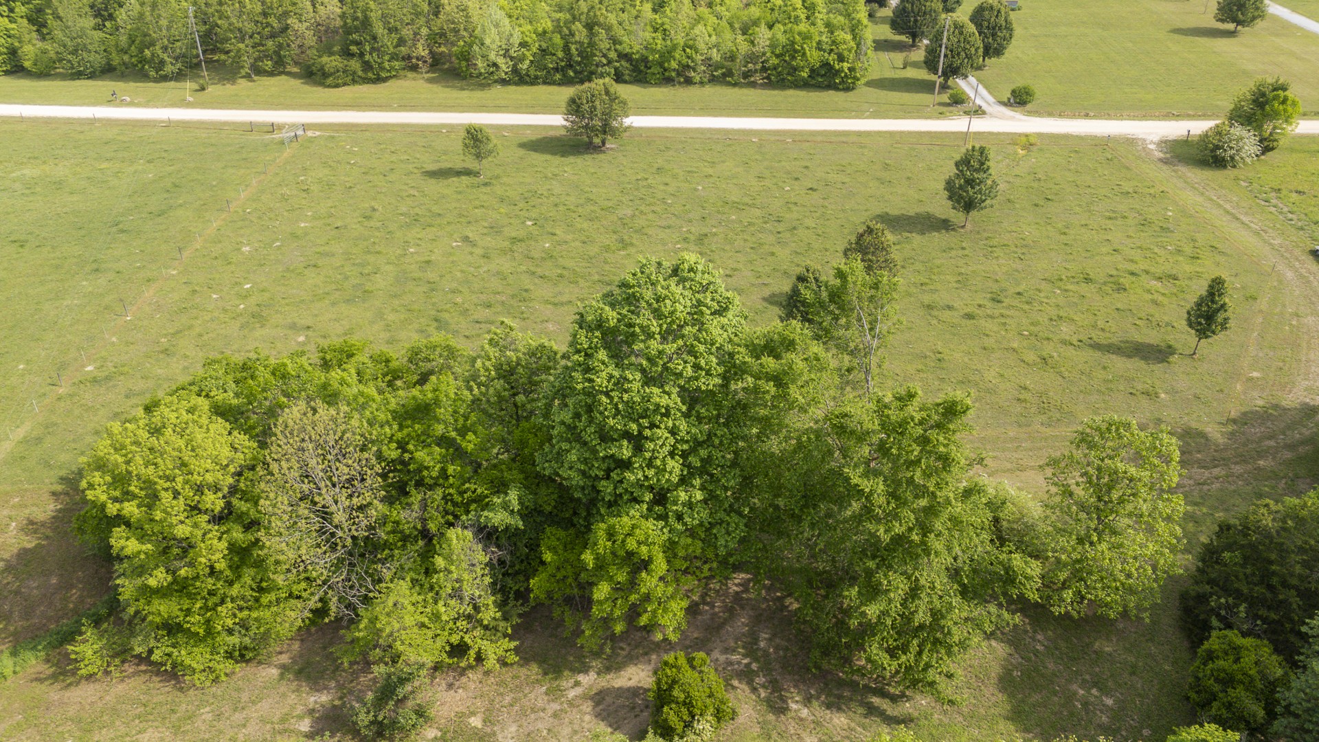 175 Chickasaw Cove Road Waynesboro, TN 38485 - Photo 9 of 37