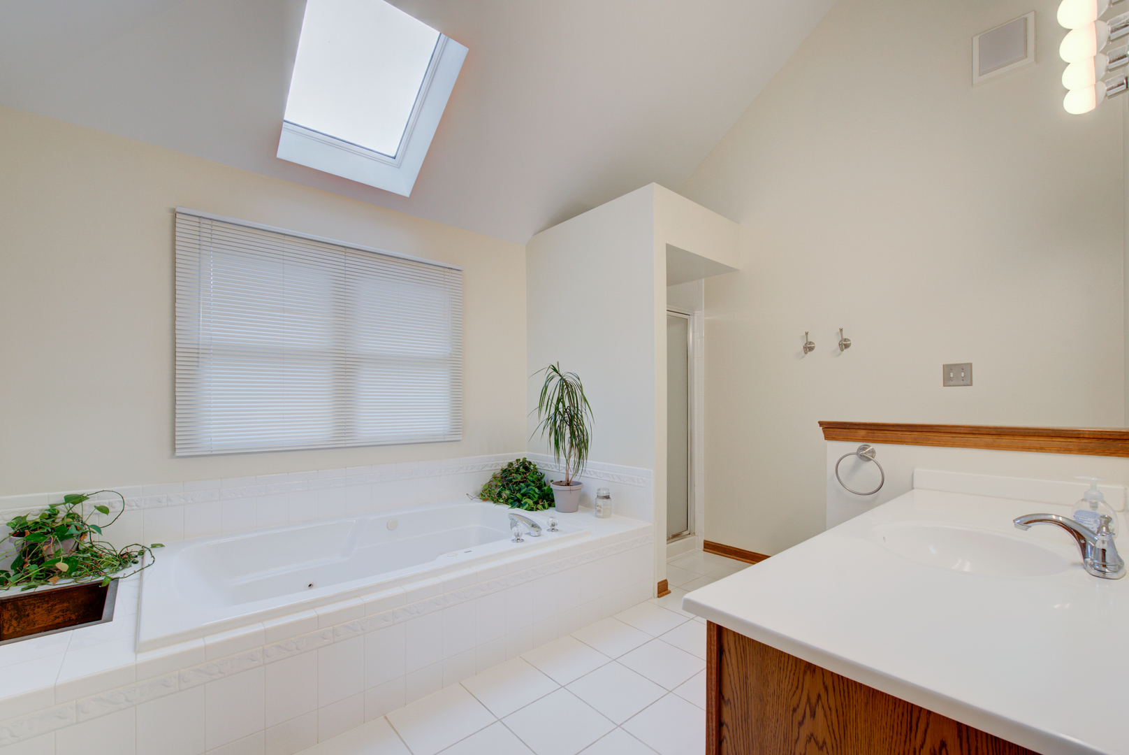 2327 Snapdragon Road Naperville, IL 60564 - Photo 18 of 42 Gallery Image 18