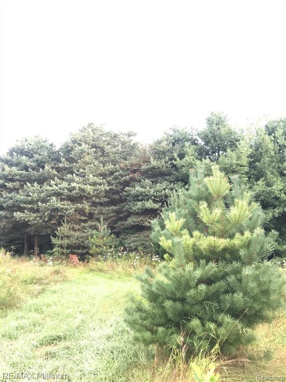 2 Hacker Brighton, MI 48114 - Photo 13 of 16