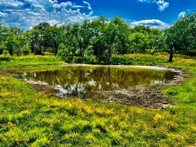 7785 Ranch Road 2241 Bluffton, TX 78607 - Photo 29 of 47 Gallery Image 29