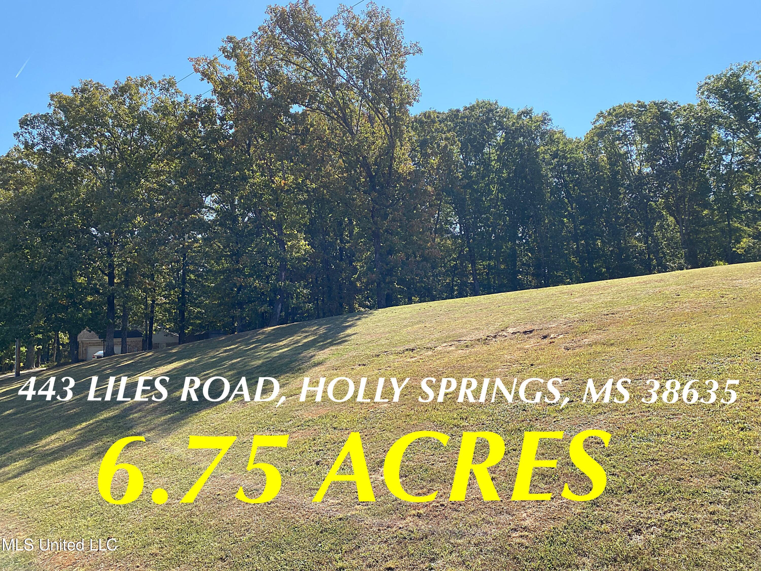 443 Liles Road Holly Springs, MS 38635 - Photo 1 of 9 5268B16E-B17F-4772-9094-0A26F4C90324