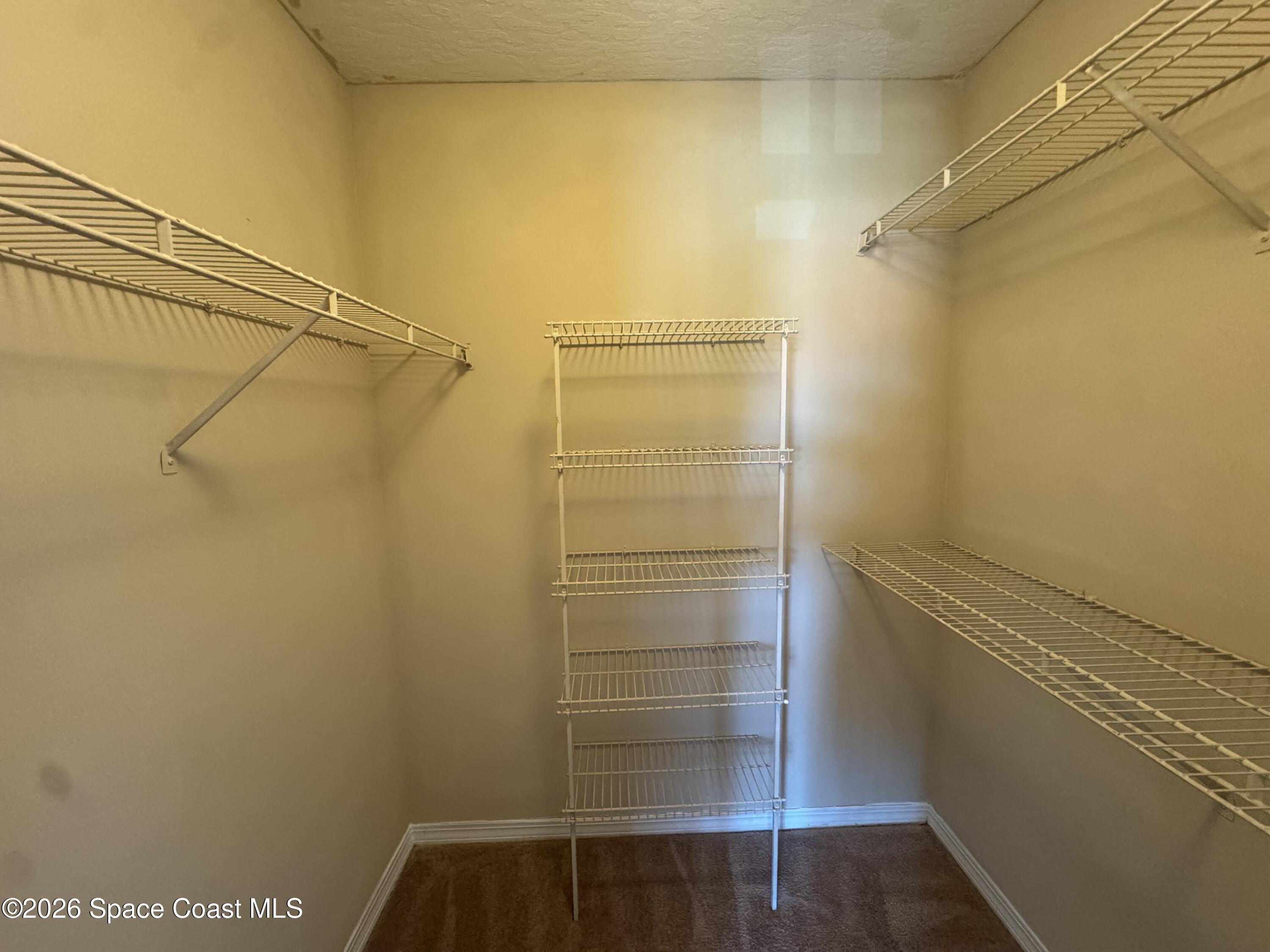 7667 North Wickham Road, Unit 223 Melbourne, FL 32940 - Photo 9 of 18 walk in closet