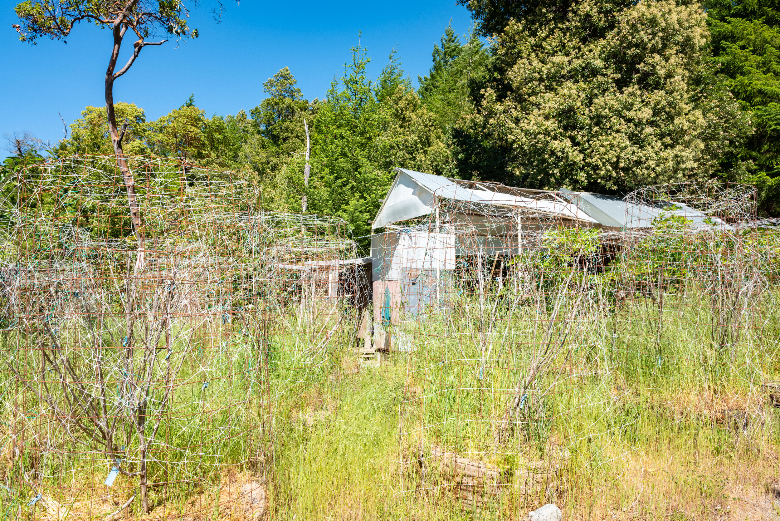 9225 Wilder Ridge Road Garberville, CA 95542 - Photo 10 of 44