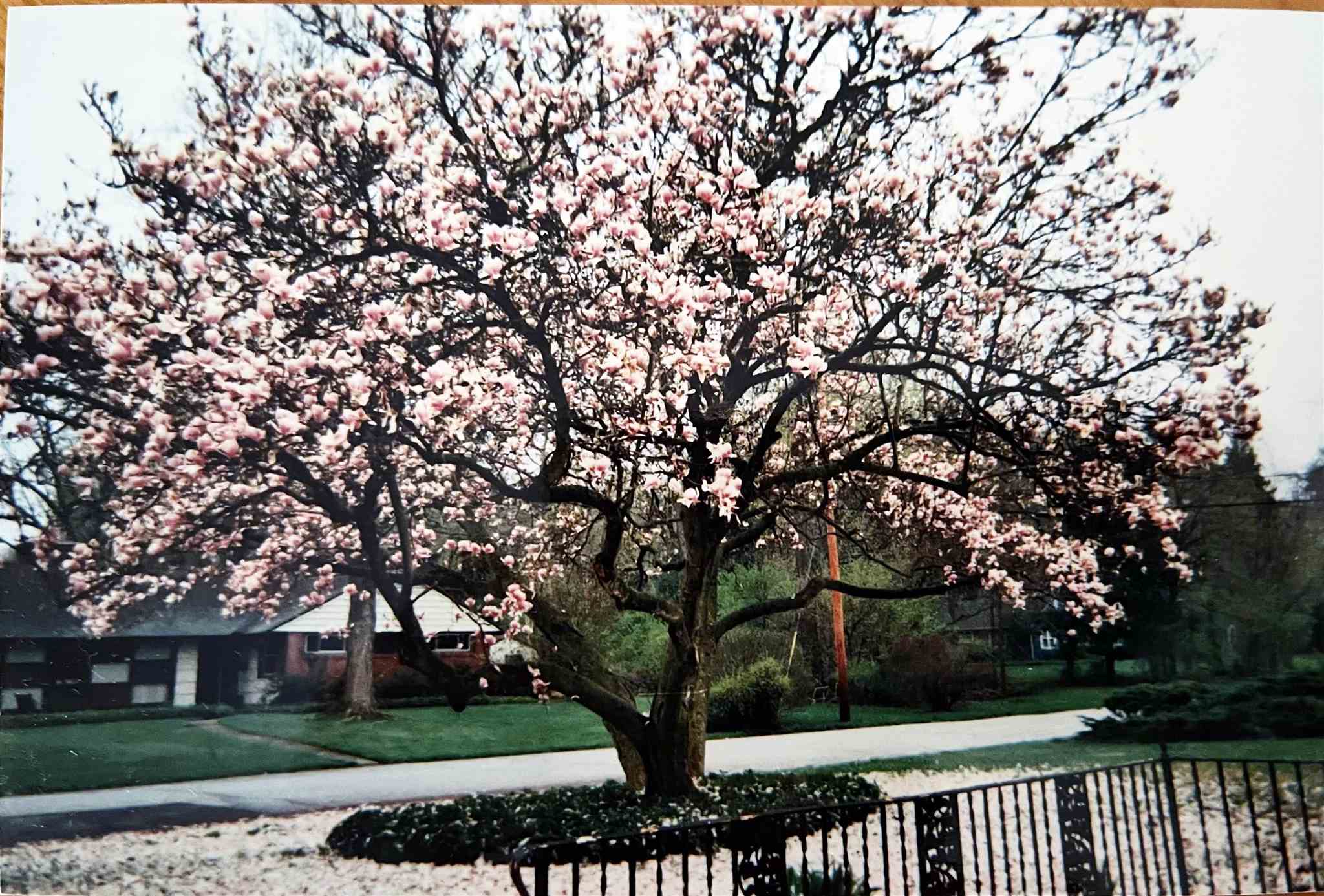 2723 York Road South Bend, IN 46614 - Photo 35 of 35 Gallery Image 35