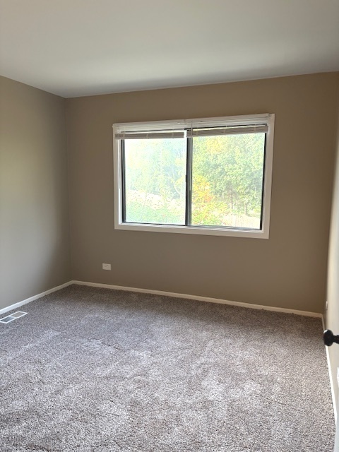 2-s717 Winchester Circle, Unit 4 Warrenville, IL 60555 - Photo 12 of 14 an empty room with a window