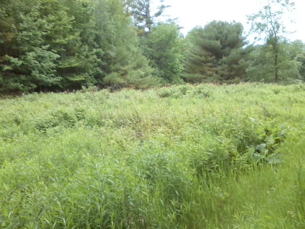 0 Northwest Round-The-Pond Road Norway, ME 04268 - Photo 7 of 25 Photo