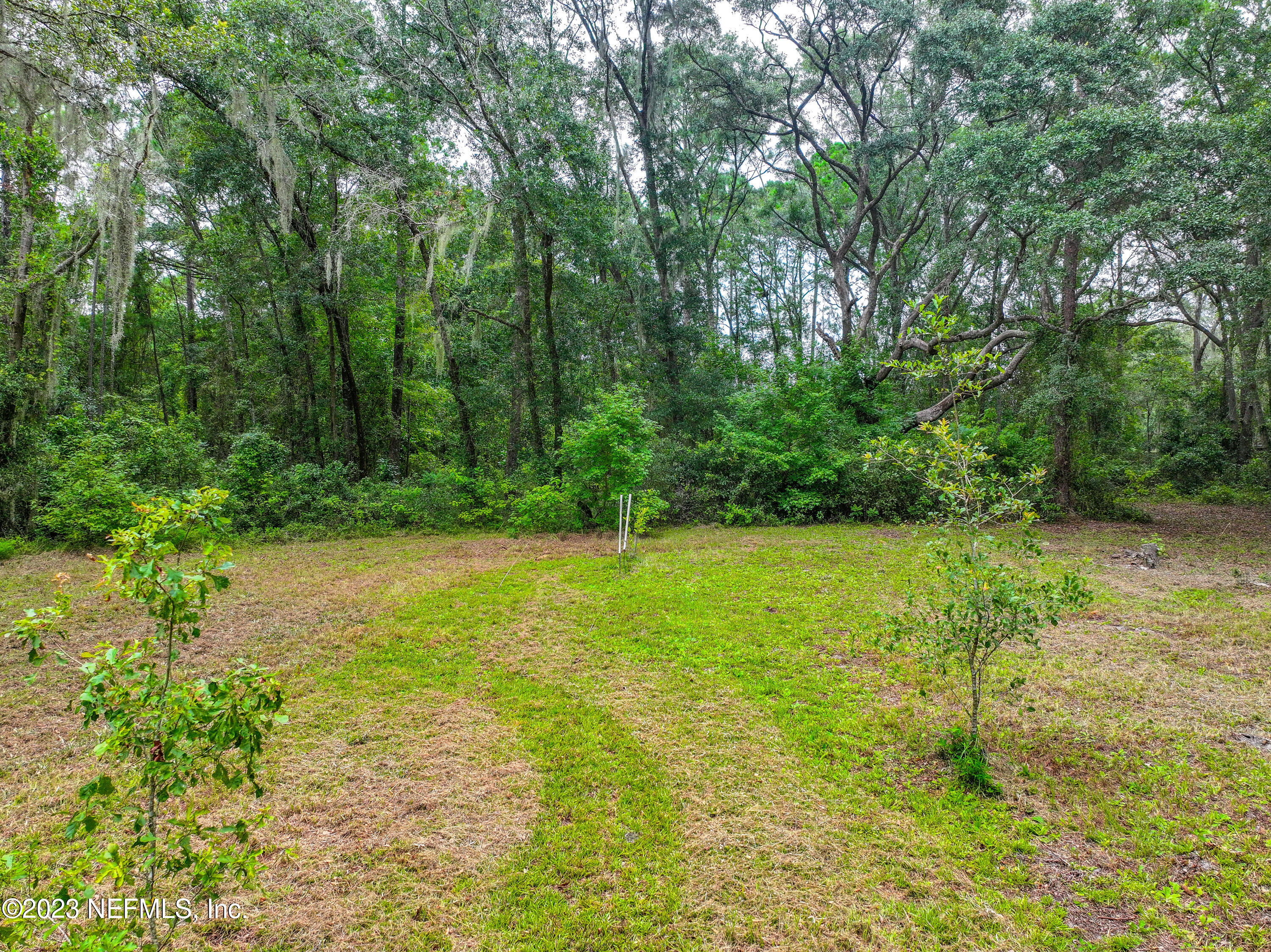 4175 Tar Kiln Road Jacksonville, FL 32223 - Photo 24 of 28 4175 Tar Kiln Rd_K2 Edit-39