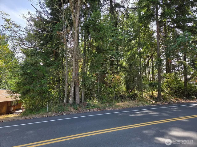 a view of a yard from a window