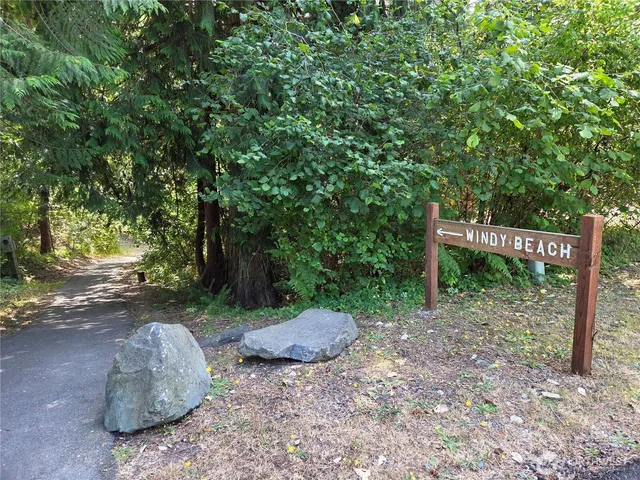 a view of a street with a tree