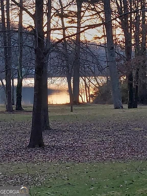2733 Old Dawsonville Road Gainesville, GA 30506 - Photo 27 of 40 a view of outdoor space with trees