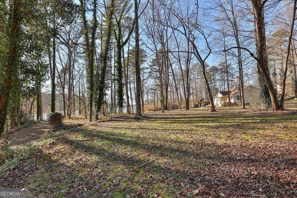 2733 Old Dawsonville Road Gainesville, GA 30506 - Photo 29 of 40 a fire hydrant in the middle of a field