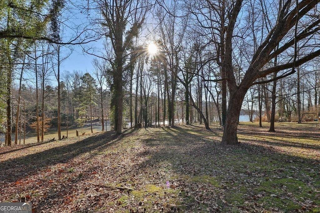 2733 Old Dawsonville Road Gainesville, GA 30506 - Photo 30 of 40 a view of a yard with trees