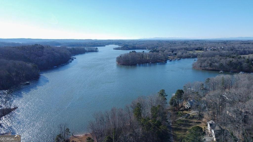 2733 Old Dawsonville Road Gainesville, GA 30506 - Photo 32 of 40 a view of a lake in middle of forest