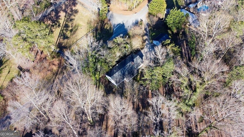 2733 Old Dawsonville Road Gainesville, GA 30506 - Photo 34 of 40 a plant with lots of trees
