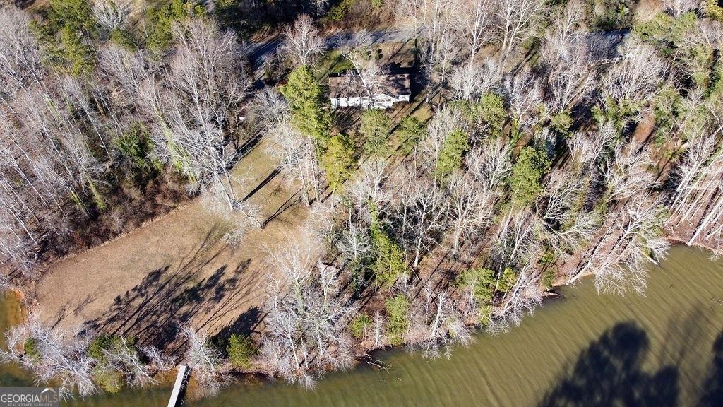 2733 Old Dawsonville Road Gainesville, GA 30506 - Photo 39 of 40 a view of a tree