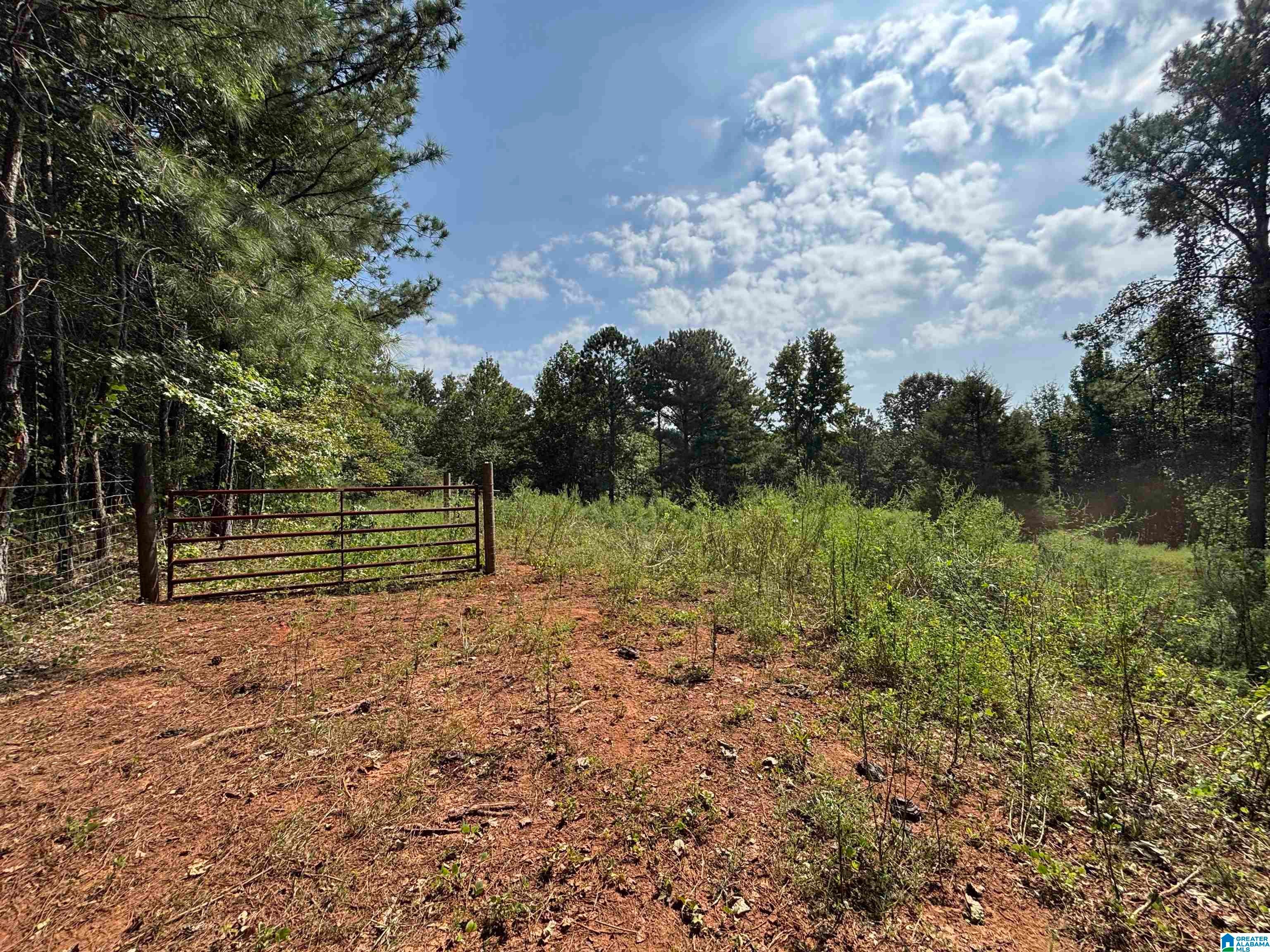 551 Burtram Road Springville, AL 35146 - Photo 34 of 34 Gallery Image 34