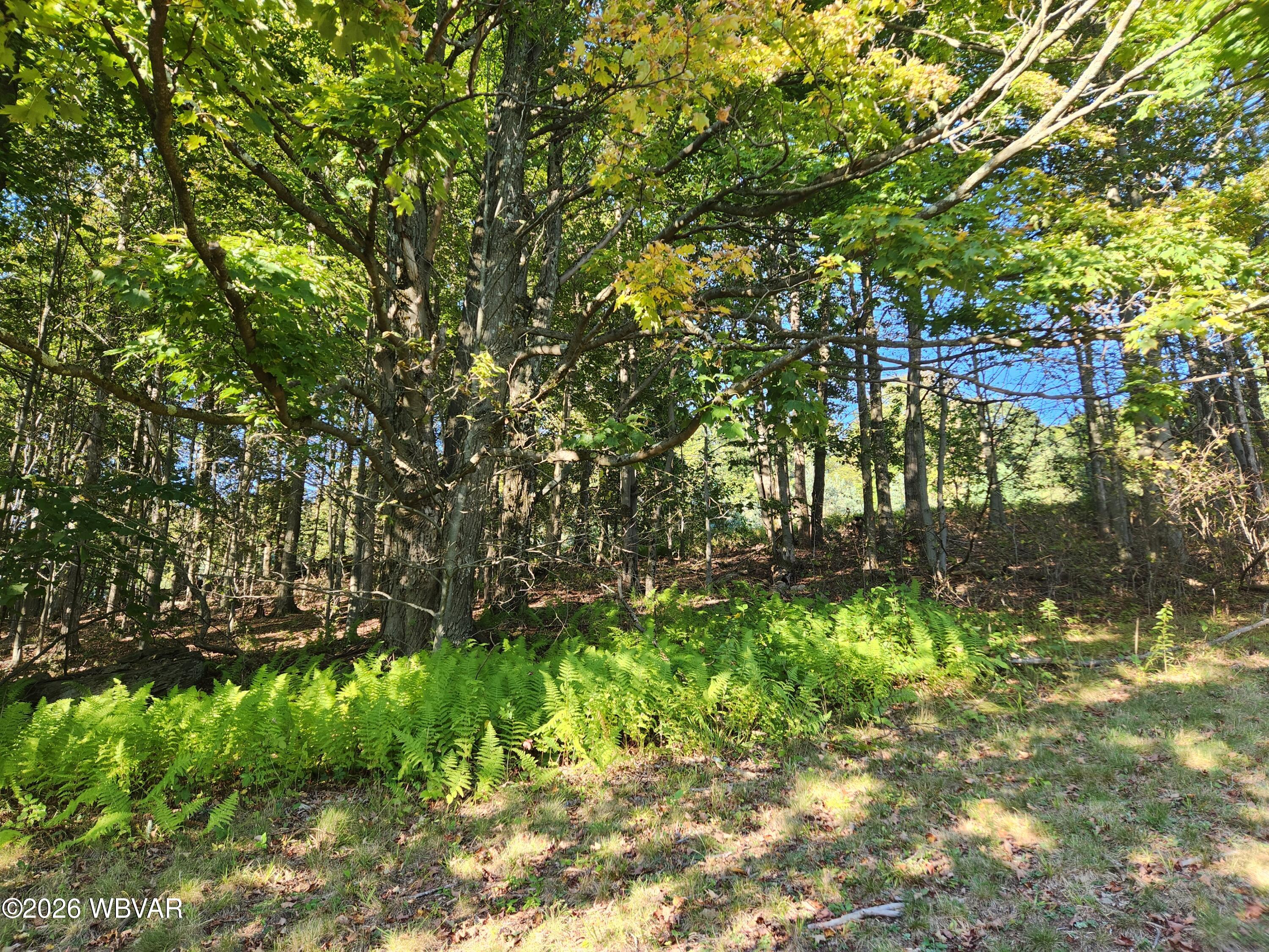 1083 Fairman Road Muncy Valley, PA 17758 - Photo 25 of 32 Gallery Image 25
