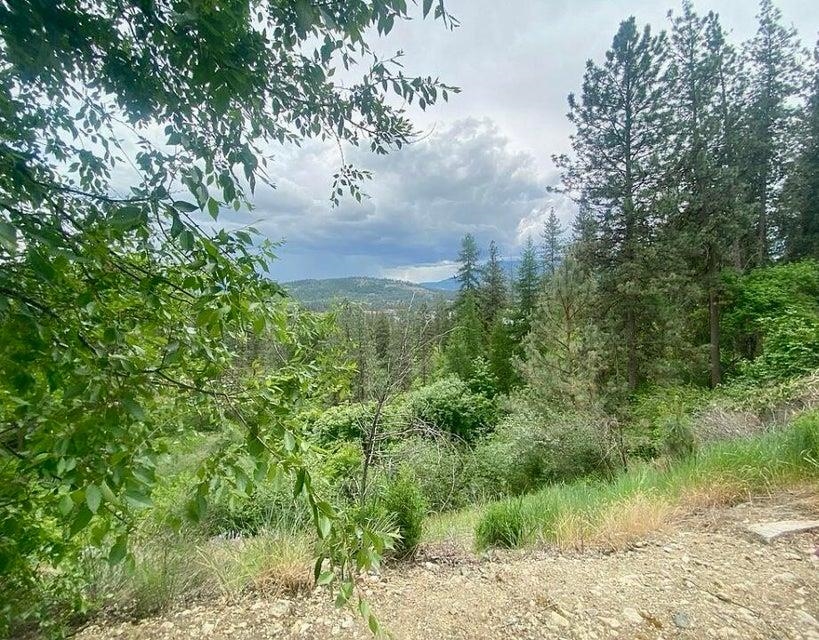 2 Fine Hill Road Kettle Falls, WA 99141 - Photo 17 of 34