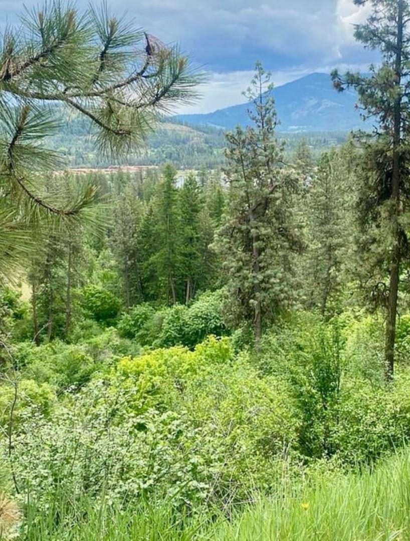 2 Fine Hill Road Kettle Falls, WA 99141 - Photo 28 of 34