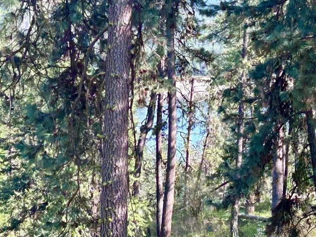 $499,000 | 2 Fine Hill Road, Kettle Falls, WA 99141