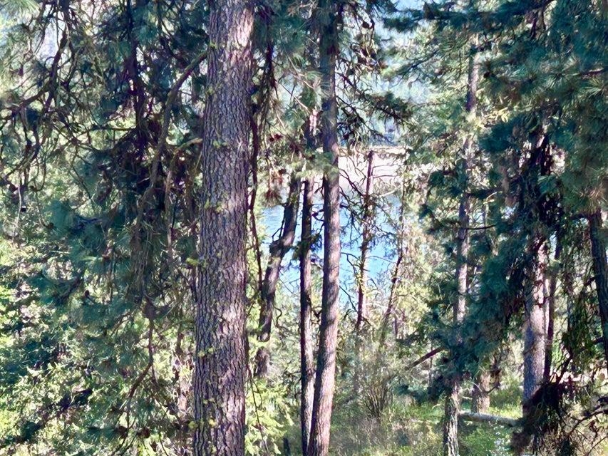 2 Fine Hill Road Kettle Falls, WA 99141 - Photo 30 of 34