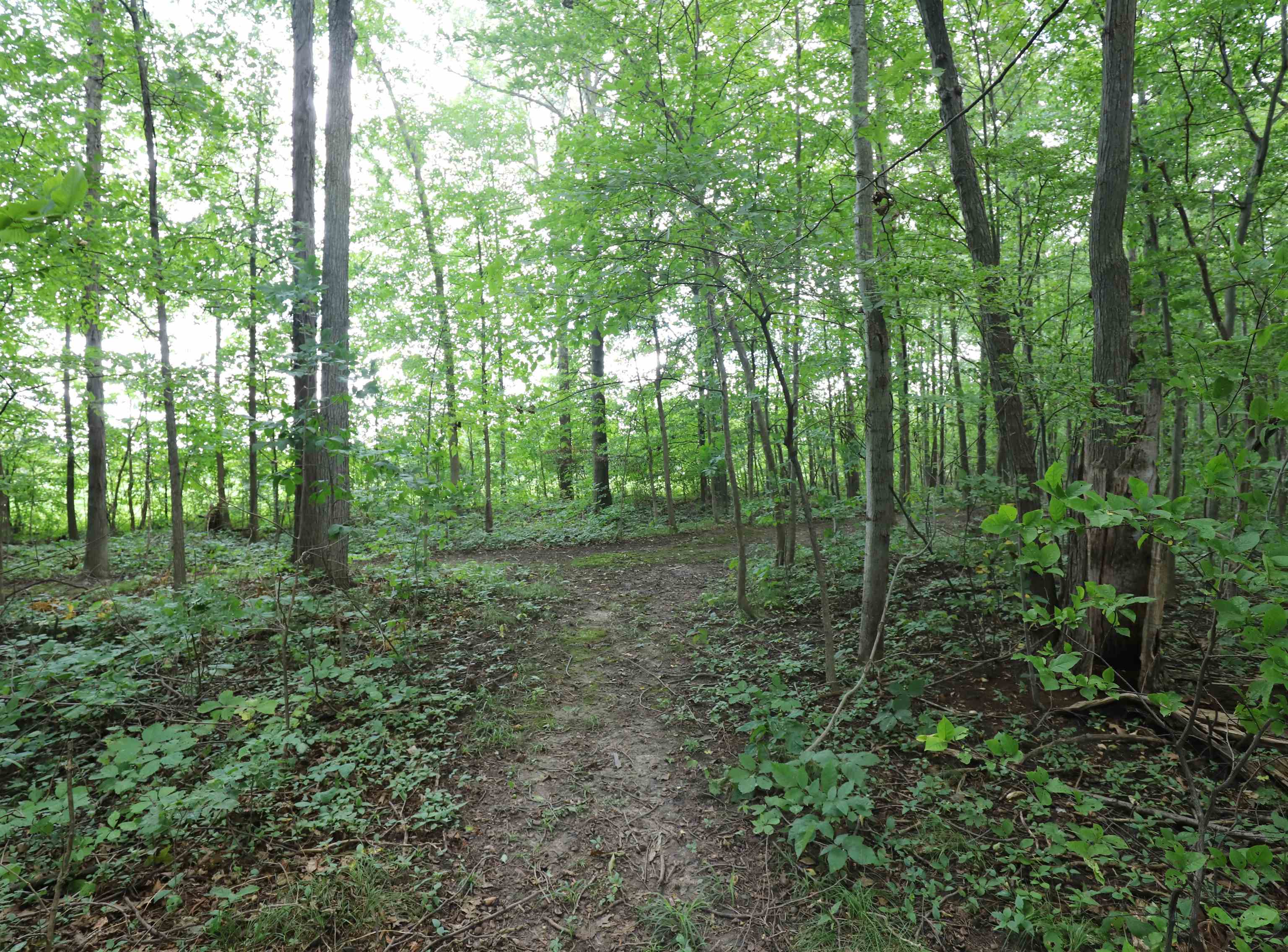 7298 North Nichols Road Flushing, MI 48433 - Photo 29 of 34