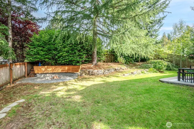 a view of a yard with trees