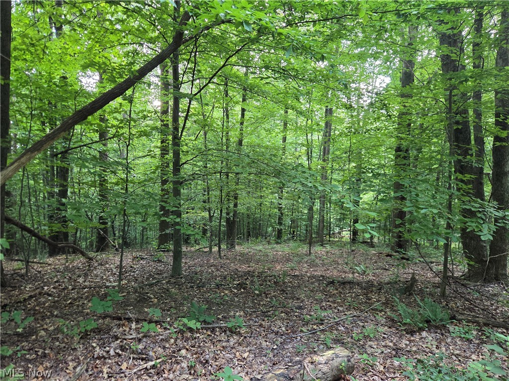 Midvale Mine Road Dennison, OH 44621 - Photo 7 of 16 Gallery Image 7