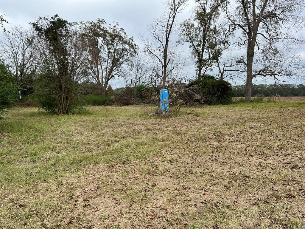 0 Benton Store Road Columbia, AL 36319 - Photo 6 of 24