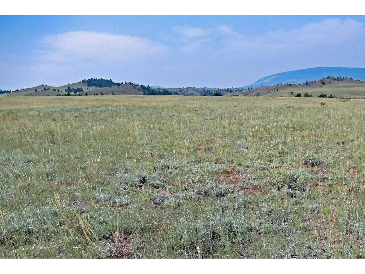 Wilderness Ranch Road Livermore, CO 80536 - Photo 10 of 15 Gallery Image 10