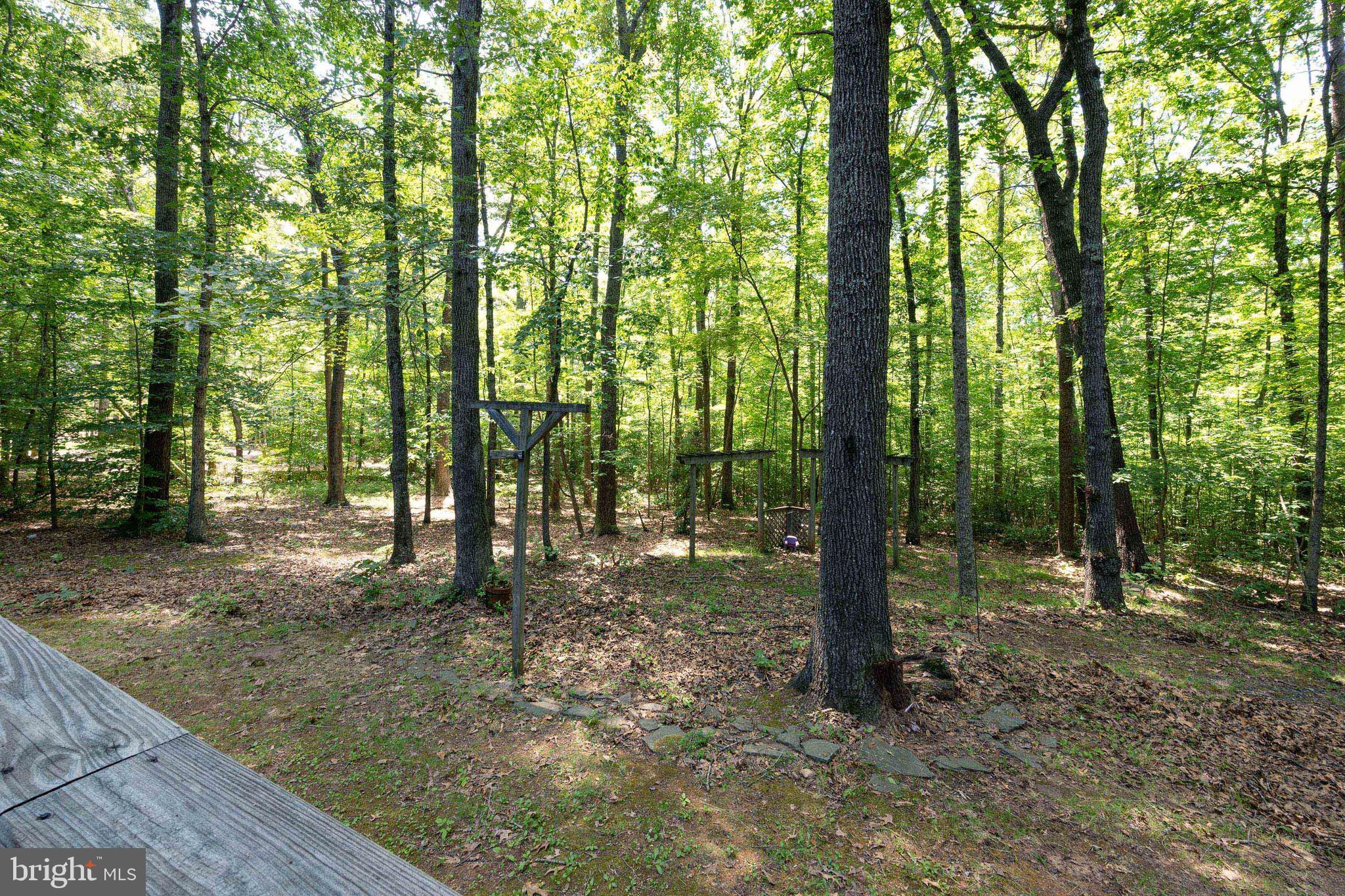 23 Deep Run Road Fredericksburg, VA 22406 - Photo 29 of 32