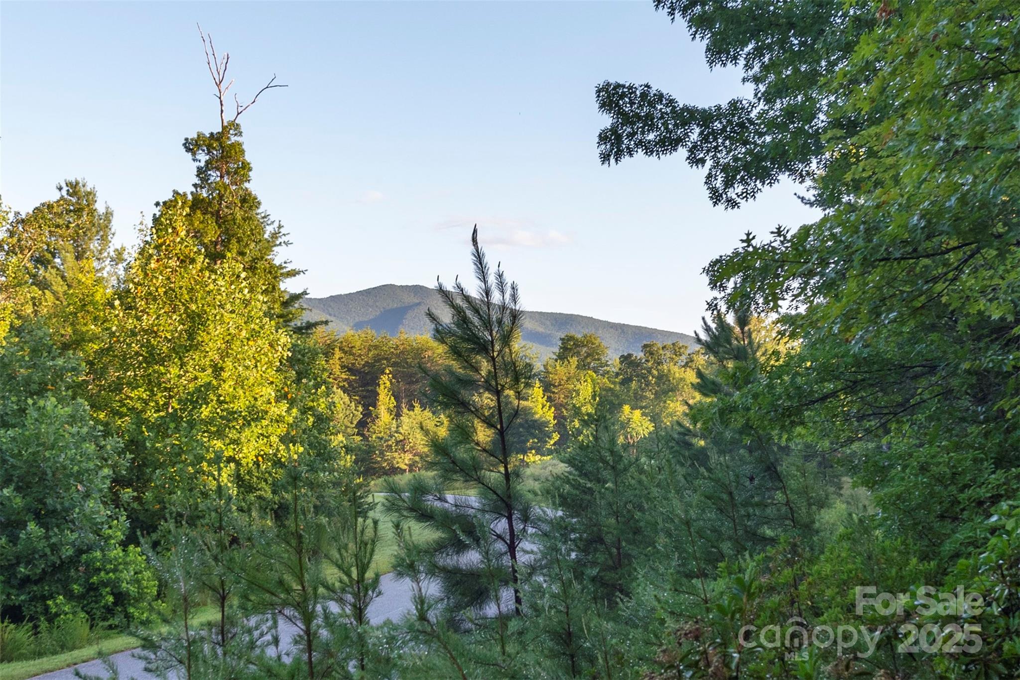 Tbd Ridge Point Road, Unit 3 Nebo, NC 28761 - Photo 1 of 36 Gallery Image 1