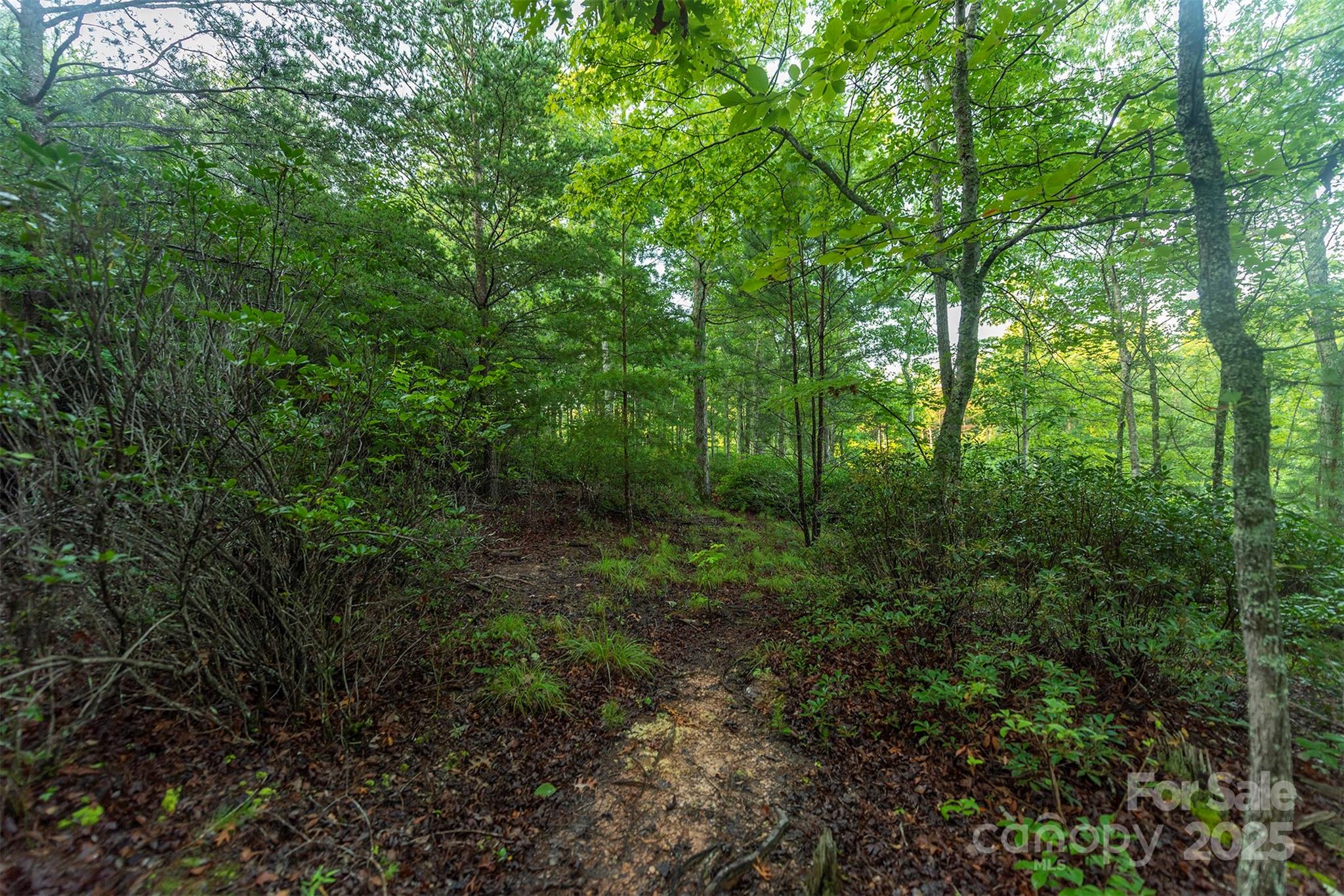 Tbd Ridge Point Road, Unit 3 Nebo, NC 28761 - Photo 13 of 36 Gallery Image 13