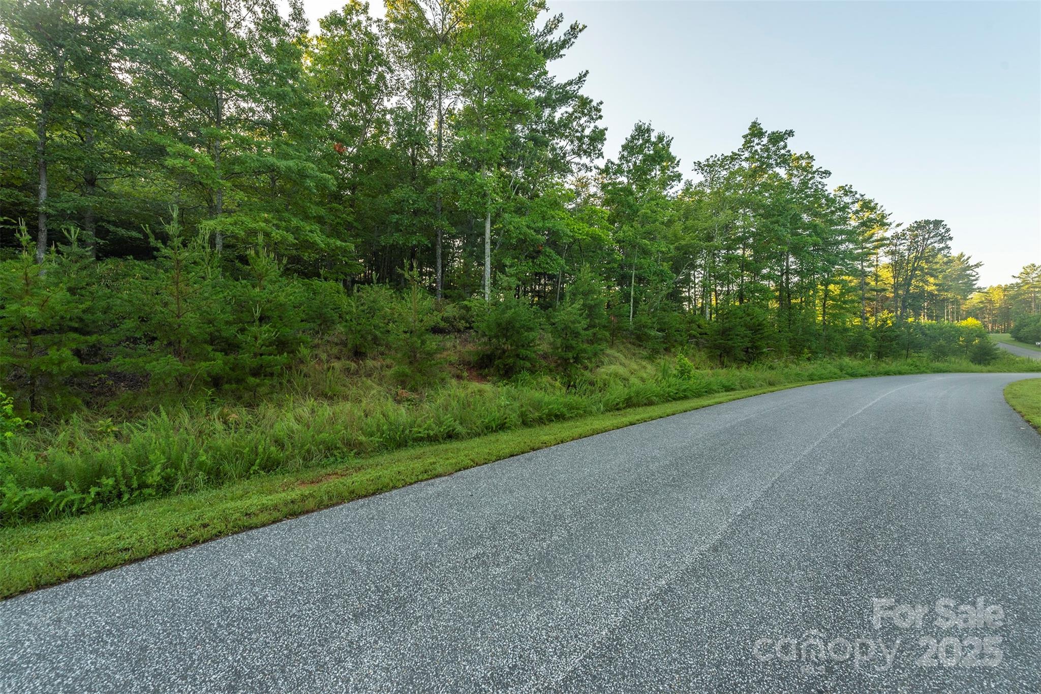 Tbd Ridge Point Road, Unit 3 Nebo, NC 28761 - Photo 7 of 36 Gallery Image 7