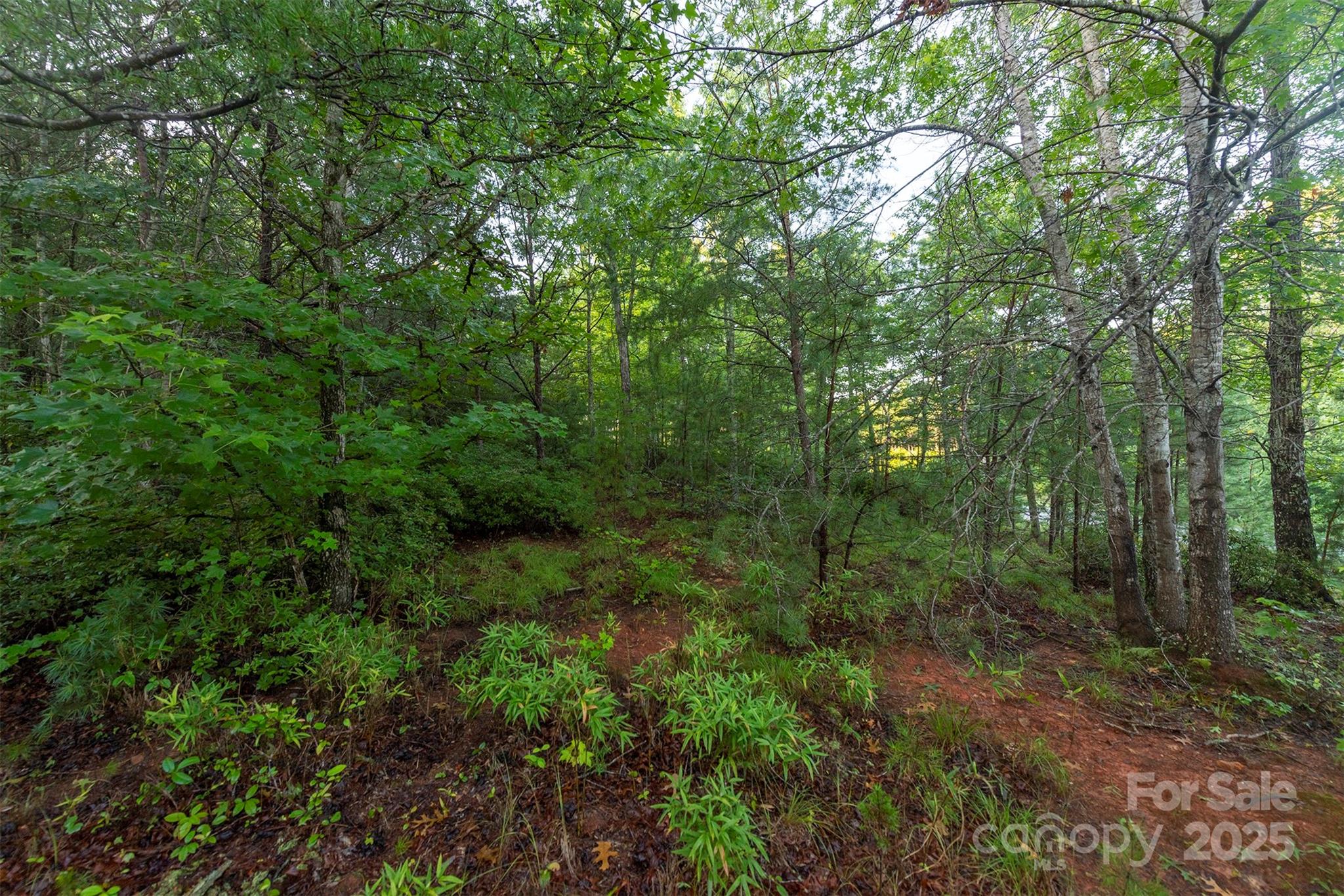 Tbd Ridge Point Road, Unit 3 Nebo, NC 28761 - Photo 10 of 36 Gallery Image 10