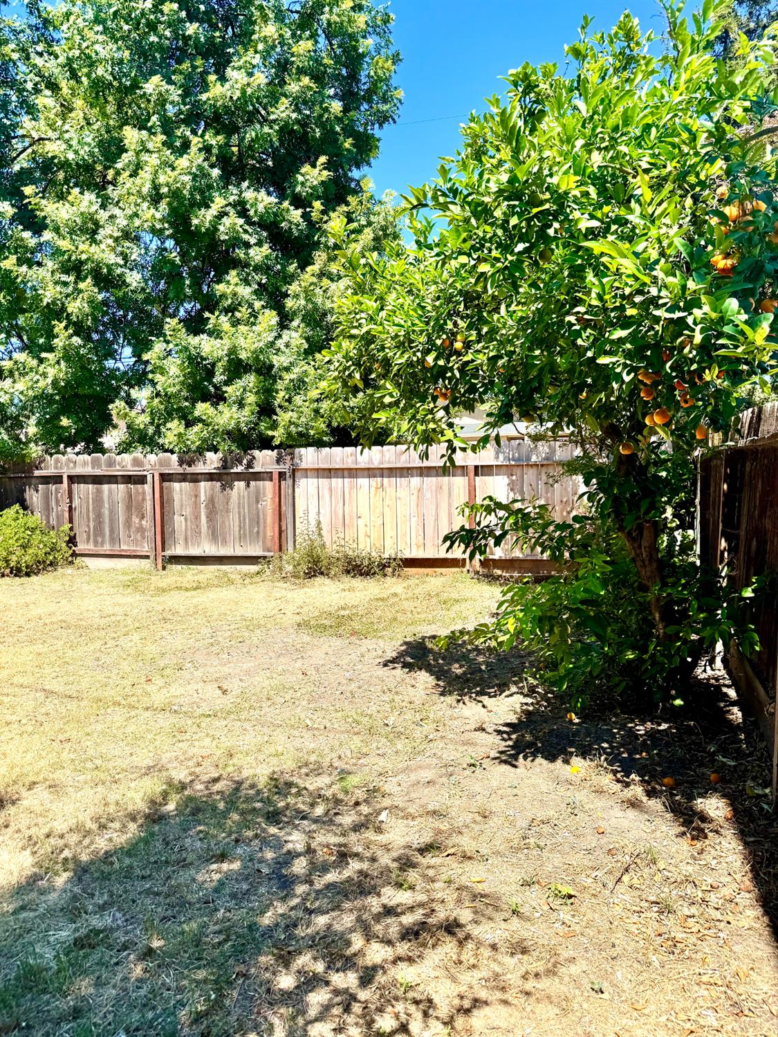 2225 North Sutter Street Stockton, CA 95204 - Photo 20 of 22