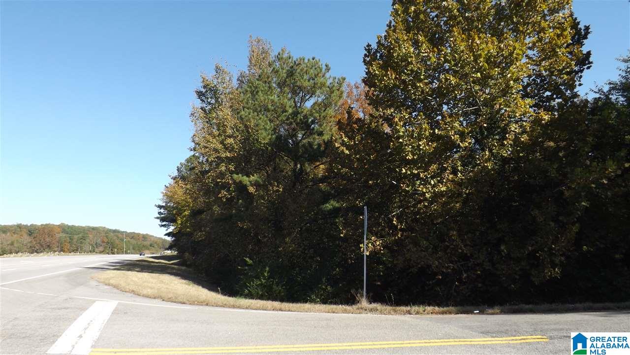 0 Highway 75, Unit 29 38 Oneonta, AL 35121 - Photo 8 of 30