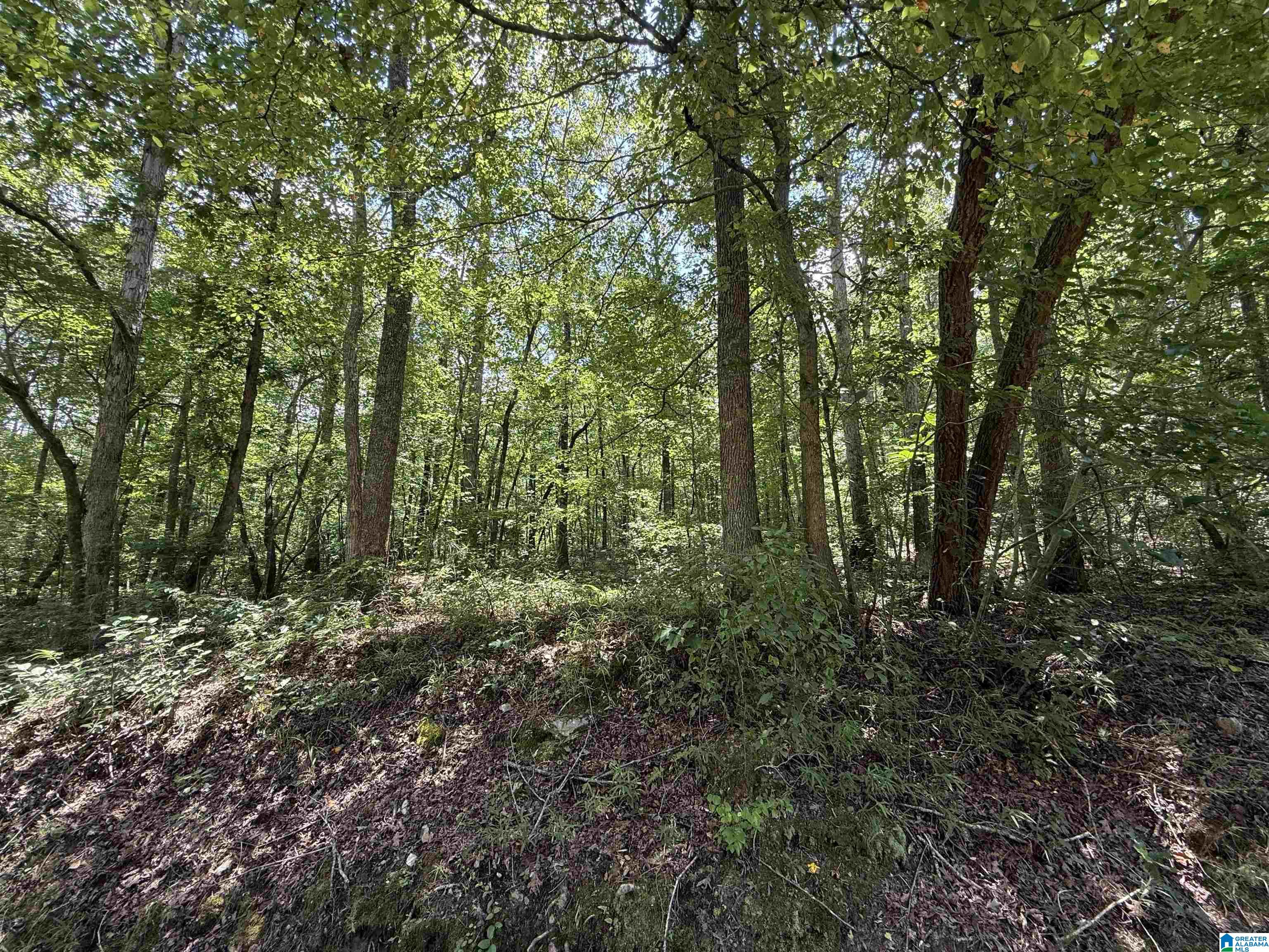 0 County Road 58, Unit 1 Wedowee, AL 36278 - Photo 3 of 5