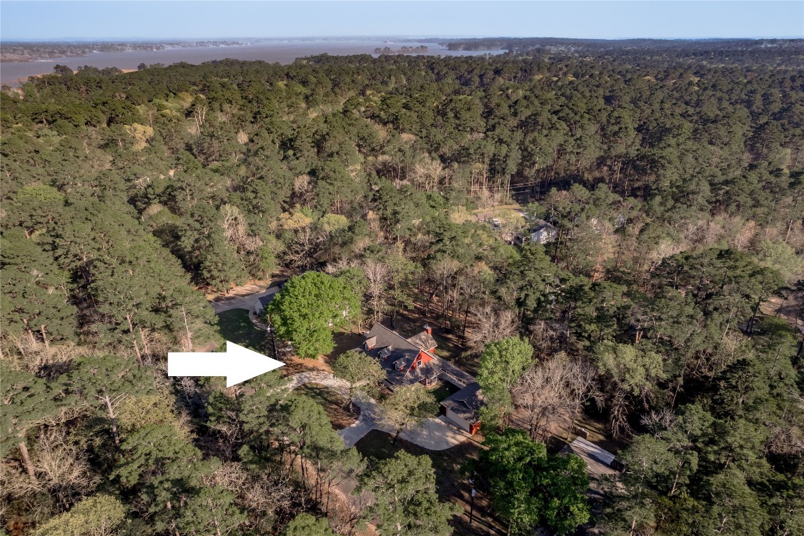 12 Quiet Wind Trinity, TX 75862 - Photo 3 of 48 Aerial view of the home.
